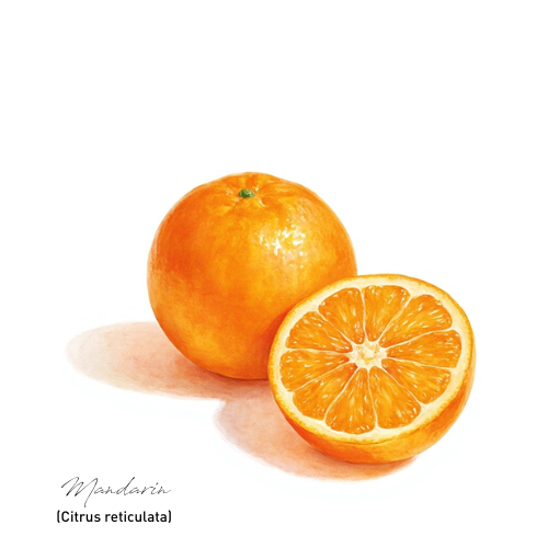 Mandarin 蜜柑精油