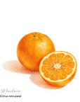 Mandarin 蜜柑精油