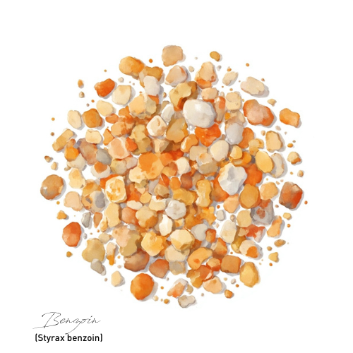 Benzoin 安息香精油