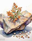 Frankincense Essential Oil