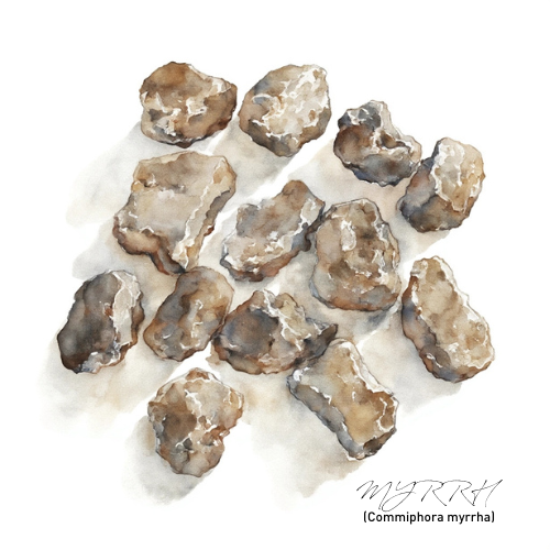 Myrrh Essential Oil