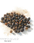 Black Pepper 黑胡椒