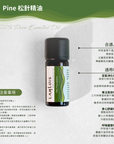 Pine 松針精油