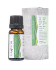 Rosemary Essential Oil