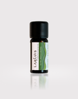 Tea Tree Essential Oil