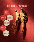 Manuka Honey Gift Set MGO 520+ (10g x 20 pcs), with 6-year Red Ginseng