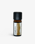 Carrot Seed 胡蘿蔔籽精油