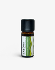 Cinnamon Leaf Essential Oil