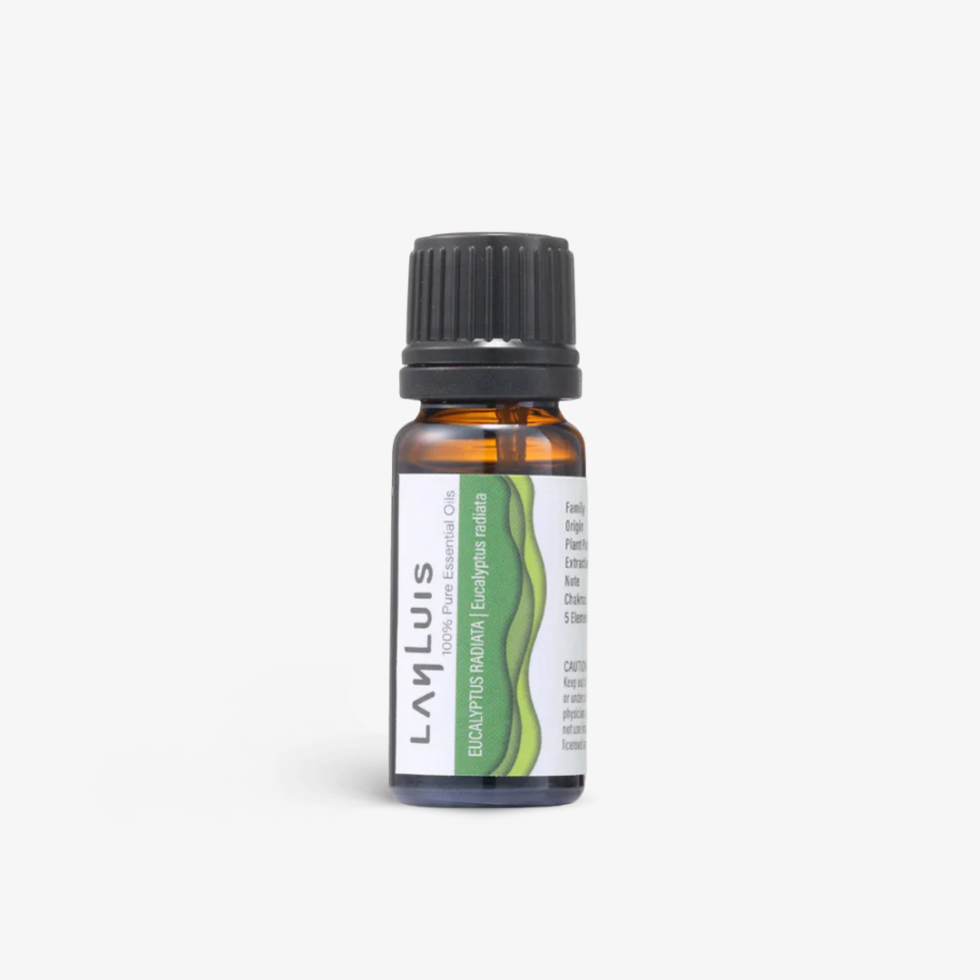 Eucalyptus 尤加利精油