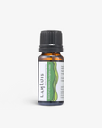 Eucalyptus 尤加利精油