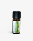 Niaouli Essential Oil