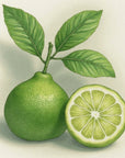 Bergamot FCF 佛手柑