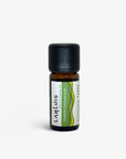 Palmarosa Essential Oil
