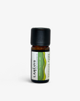 Patchouli Essential Oil