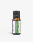 Petitgrain 苦橙葉精油