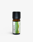 Pine Essential Oil