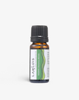 Rosemary Essential Oil