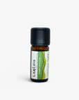 Spearmint Essential Oil