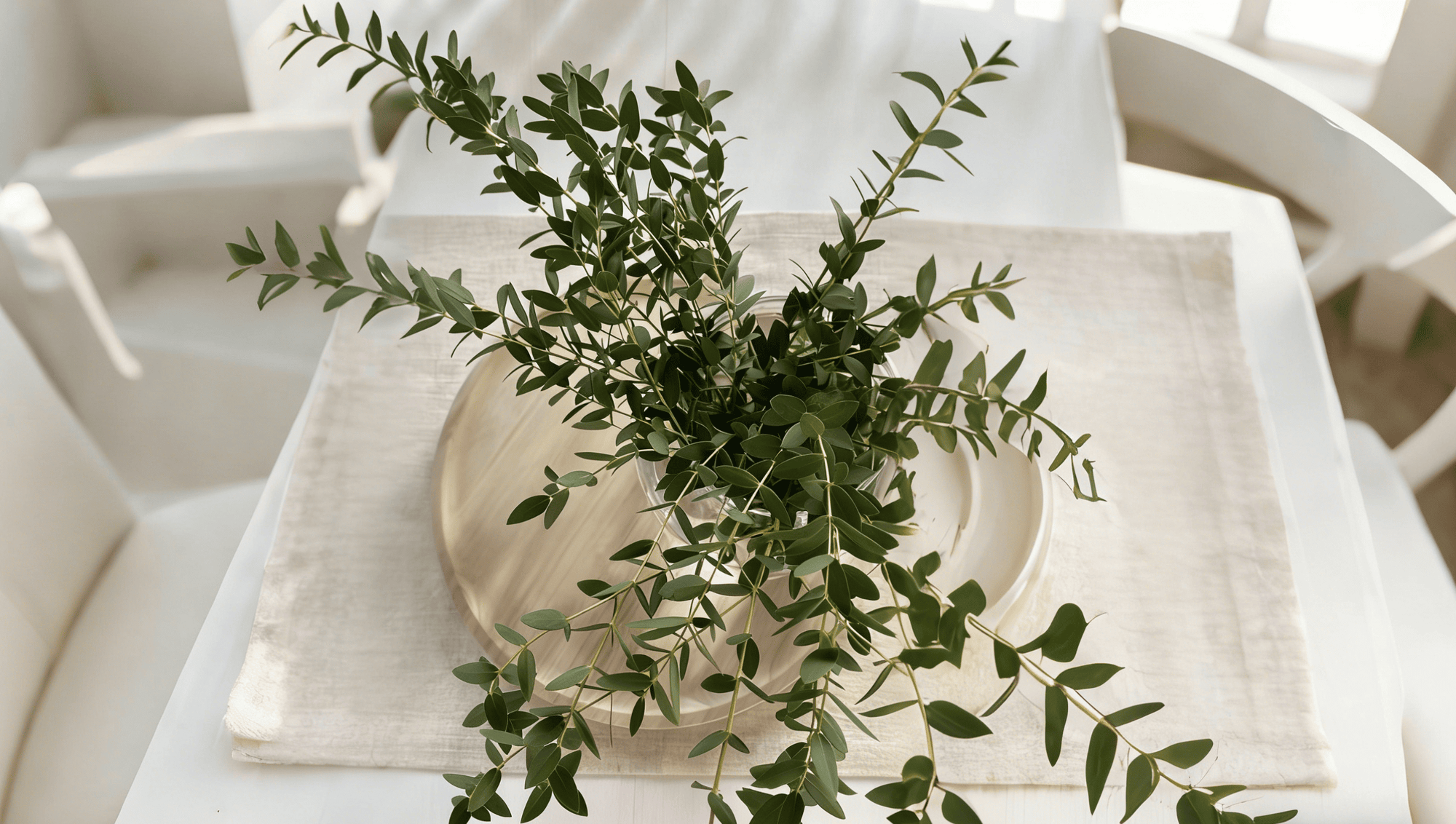 一束细叶尤加利插在透明玻璃瓶中，置于白色餐盘与亚麻餐垫之上，清新自然的绿意为简约明亮的餐桌增添了一抹宁静与生机。