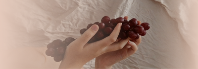 雙手輕捧的紫葡萄，是藏著白藜蘆醇的天然抗氧化寶藏。