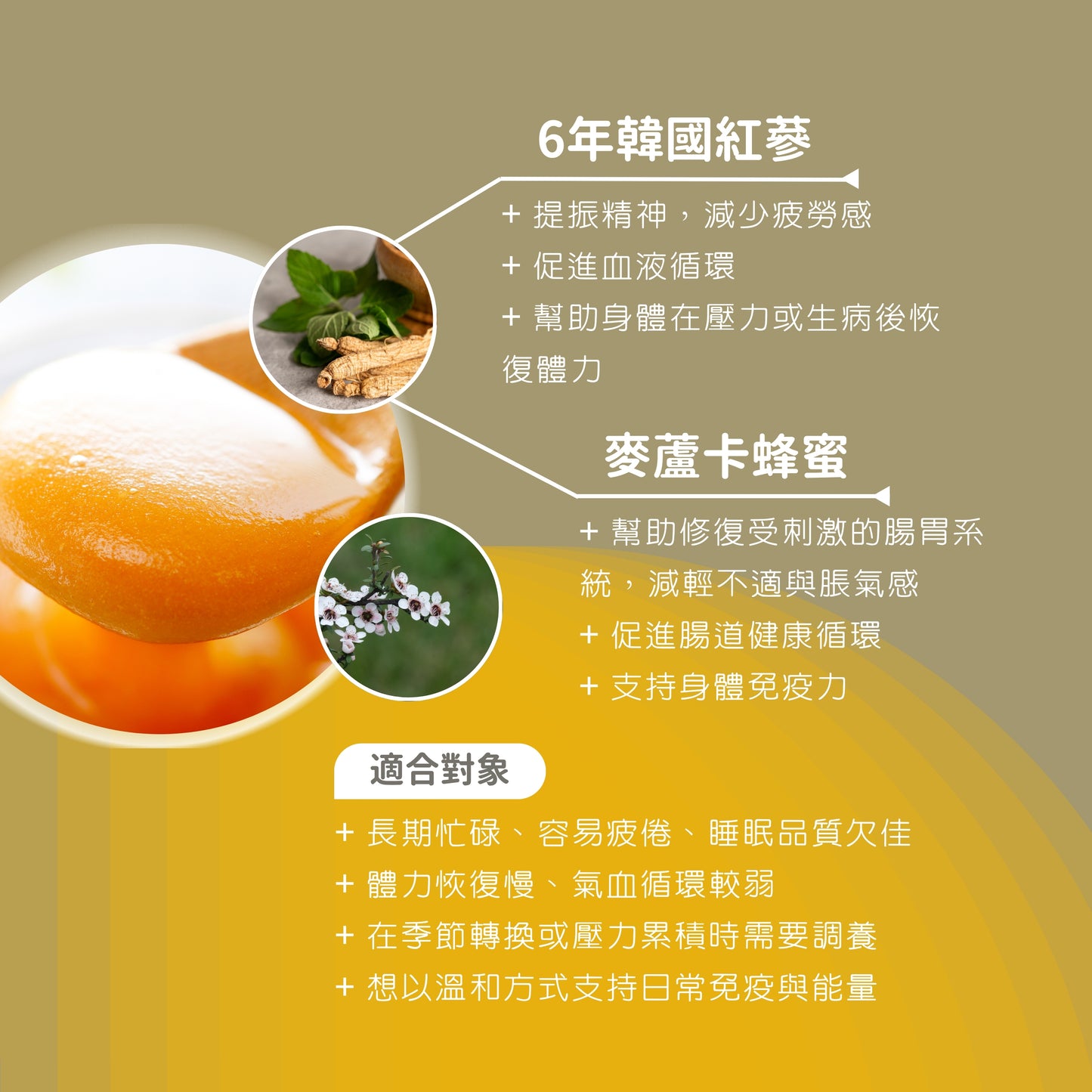 MGO520+麥蘆卡蜂蜜紅蔘禮盒(10克x20)