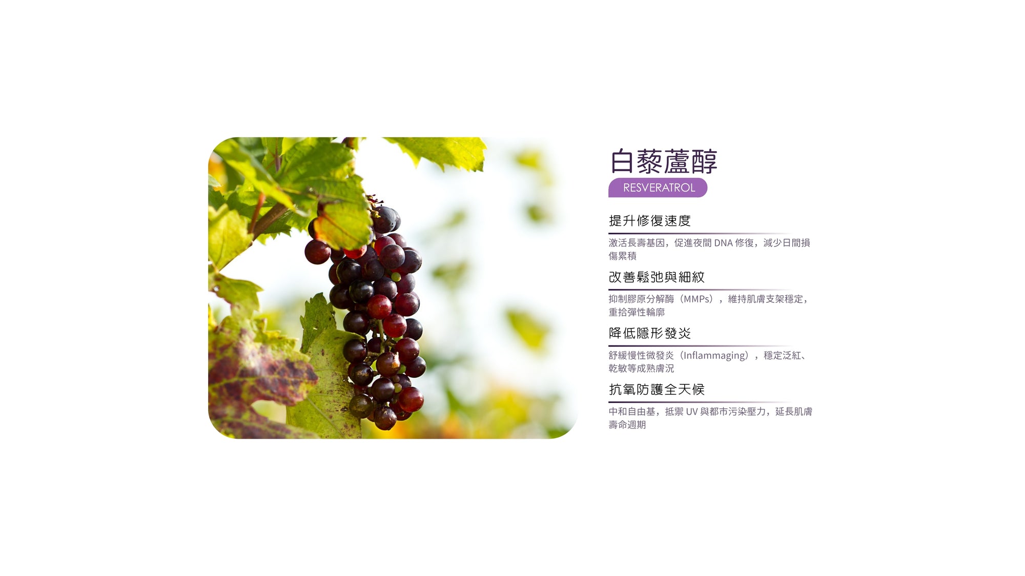 Slideshow Image 2
