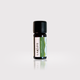Cajeput Essential Oil