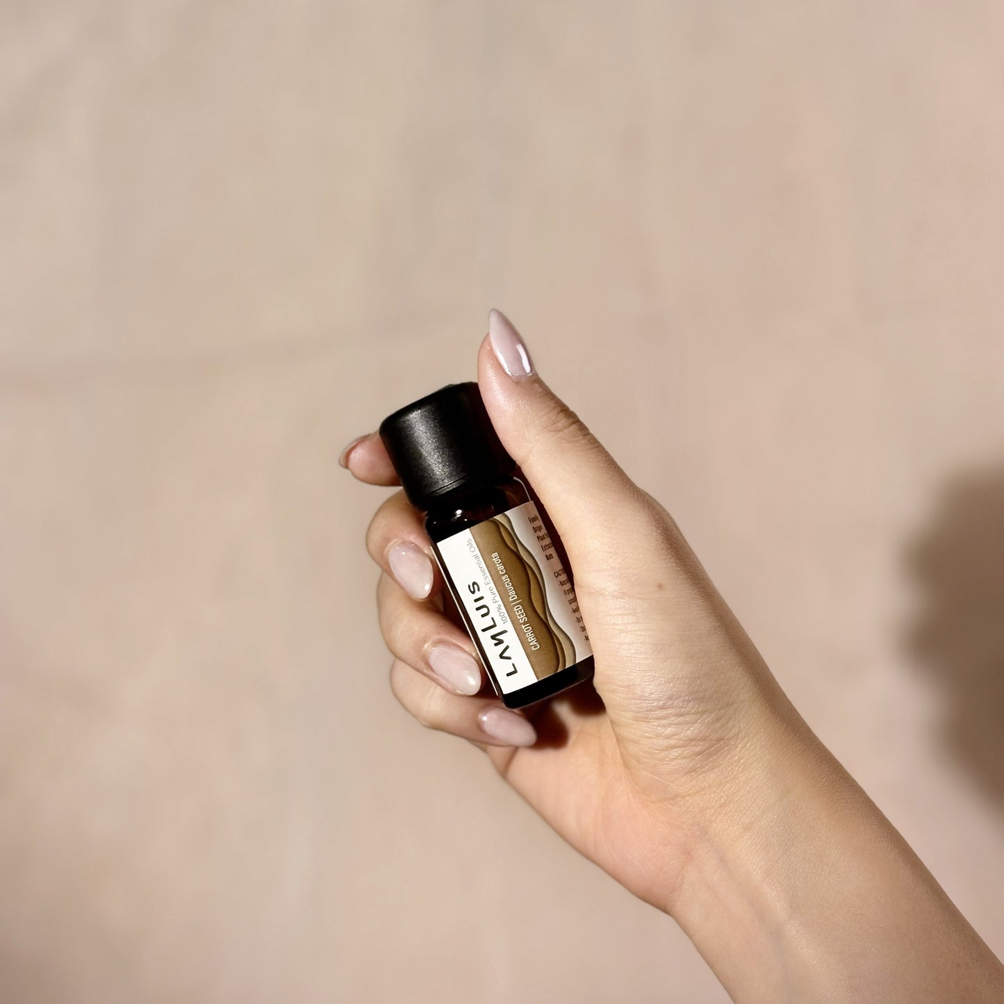 Carrot Seed Essential Oil