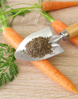 Carrot Seed Essential Oil
