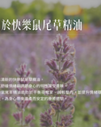 Clary Sage 快樂鼠尾草精油
