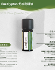 Eucalyptus 尤加利精油