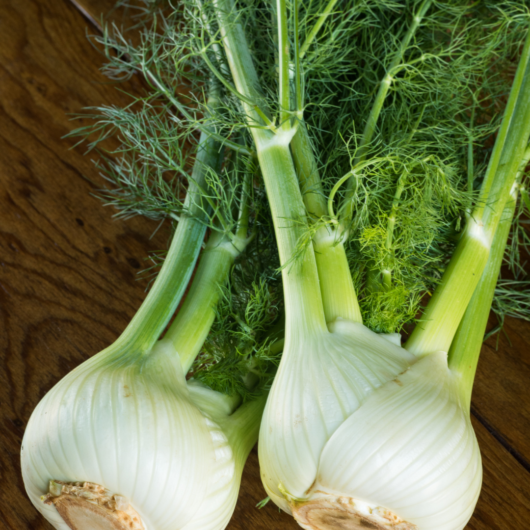 Fennel Sweet Essential Oil