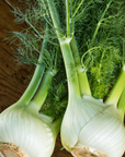 Fennel Sweet Essential Oil