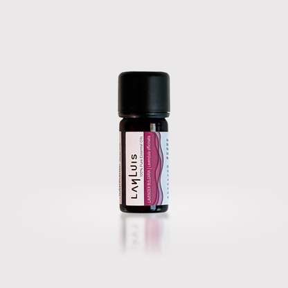 Lavender Bulgaria Essential Oil
