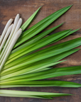 Lemongrass Essential Oil