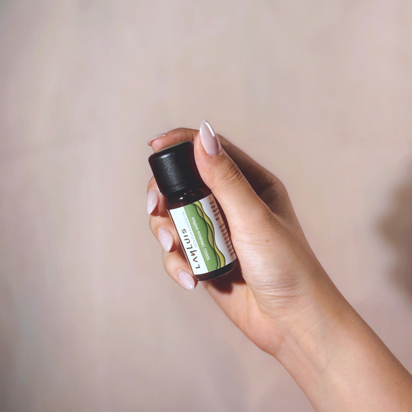 Niaouli Essential Oil