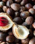 Nutmeg 肉豆蔻精油