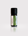 Spearmint Essential Oil