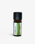 Cajeput Essential Oil